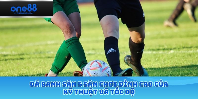 đá banh sân 5