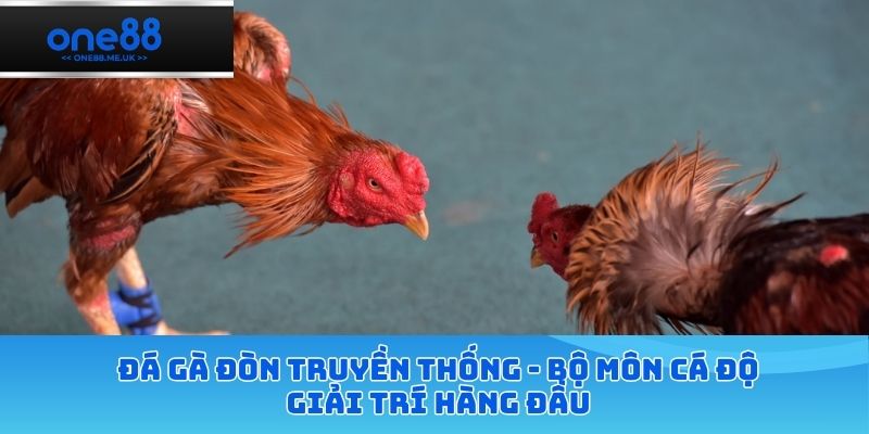 Đá gà đòn truyền thống