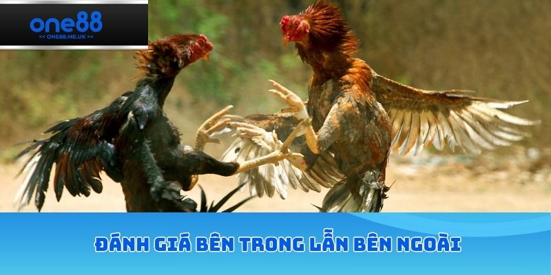 Đánh giá bên trong lẫn bên ngoài