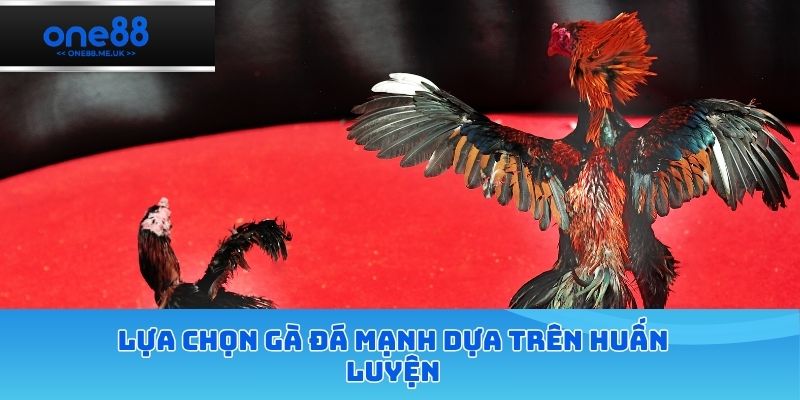 Lựa chọn gà đá mạnh dựa trên huấn luyện