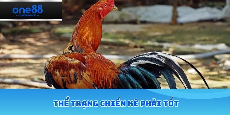 Thể trạng phòng vệ phải tốt