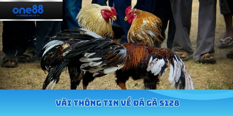 Vài thông tin về đá gà S128