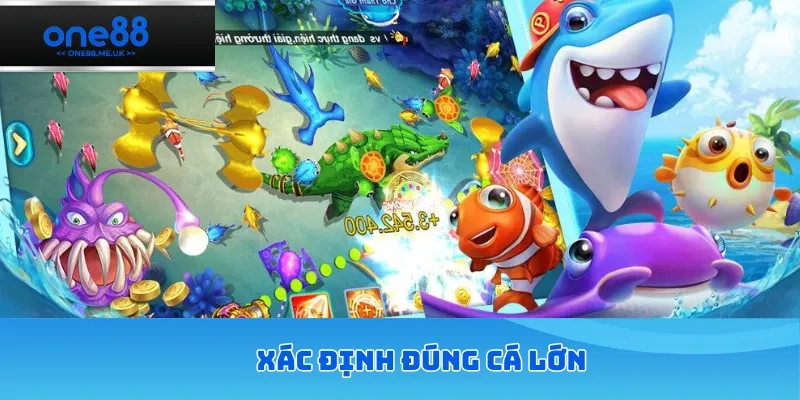 Xác định đúng cá lớn